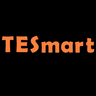 TESmart logo