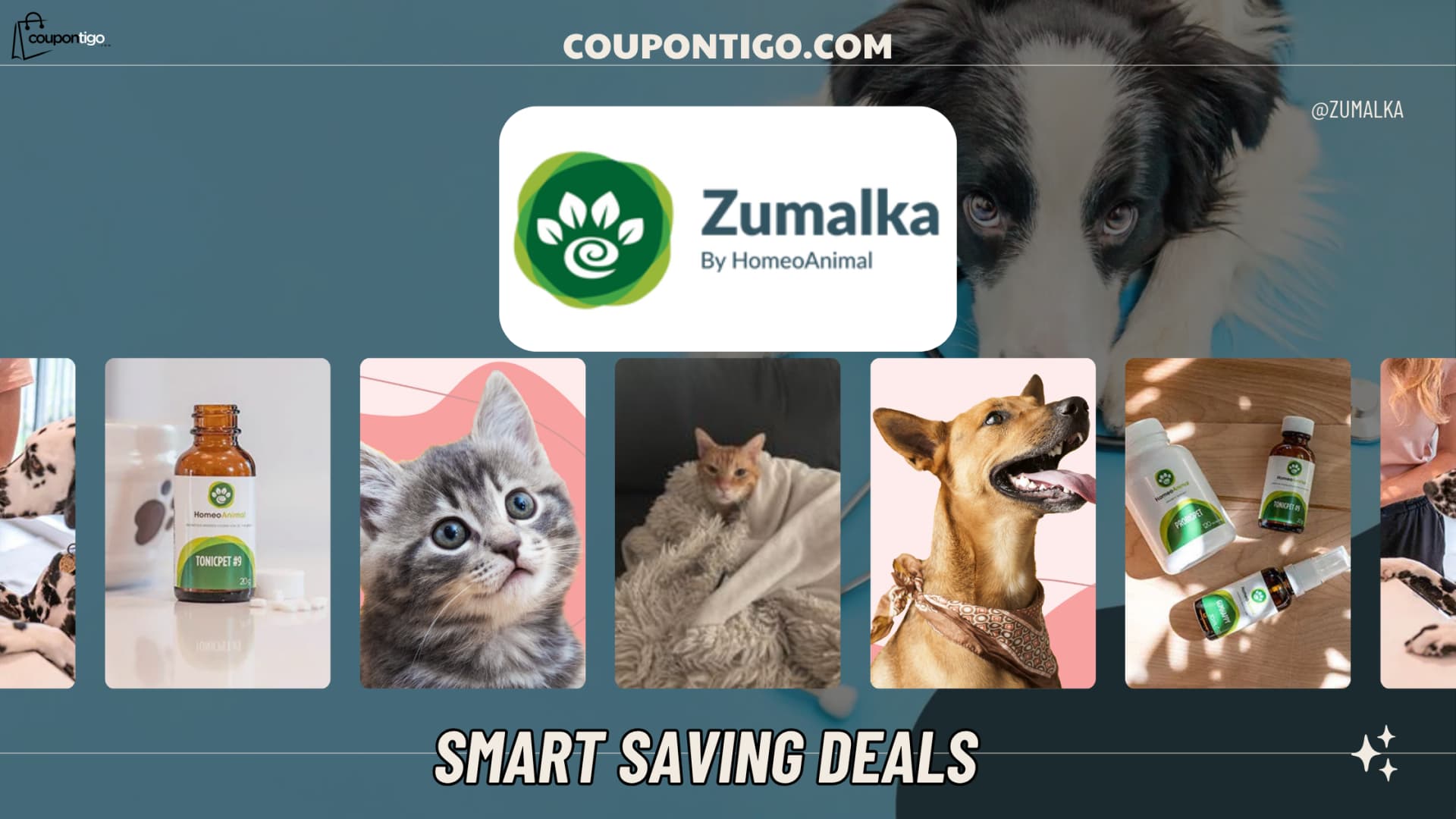Zumalka Review — The Natural Solution Your Pet Deserves