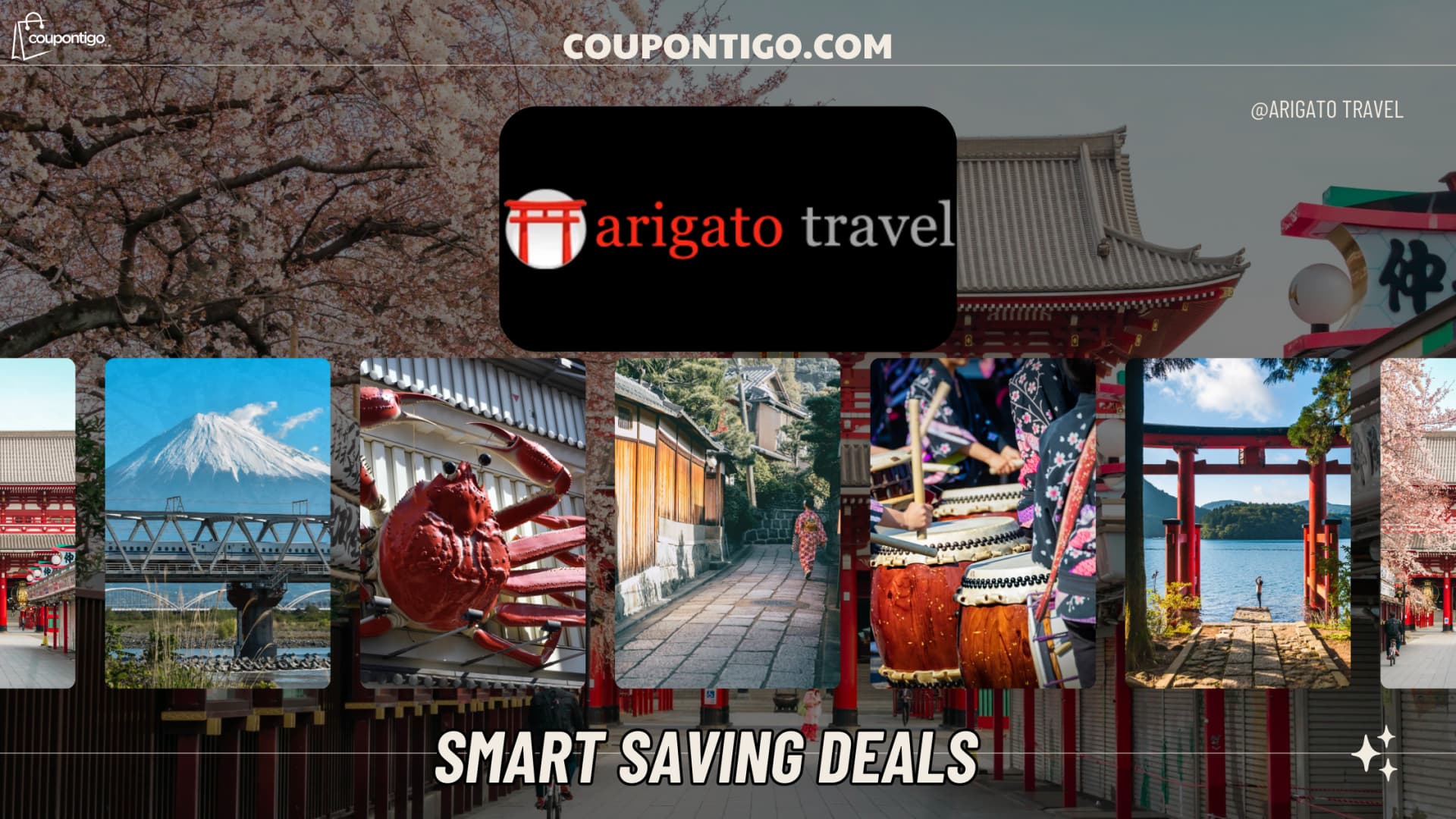 Arigato Travel Review — Authentic Japanese Food & Cultural Tours You Can’t Miss